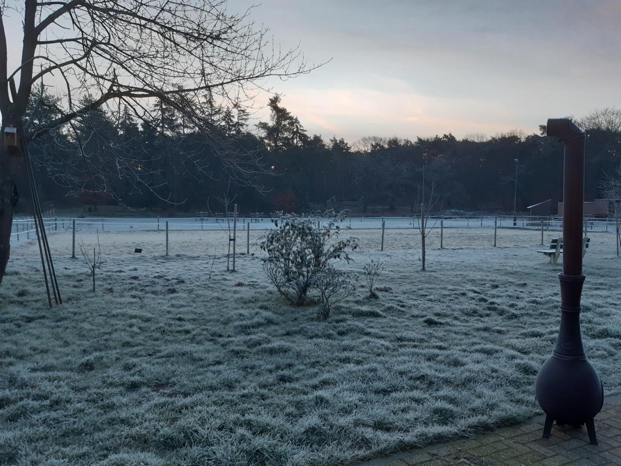 Natuurslaapkamer De Zaadeest Boskamer Lomm Eksteriør bilde